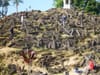 Reckoning for our forgotten past at Gunung Padang